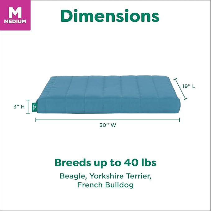 Furhaven Orthopedic Dog Bed – Puffy Quilted Foam Mattress with Removable Washable Cover, Soft & Supportive for Kennels & Crates - Medium, Lagoon