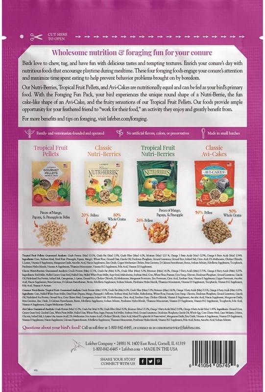 LAFEBER'S Foraging Fun Pack Pet Bird Food, Made with Non-GMO and Human-Grade Ingredients 5 oz (Conure)