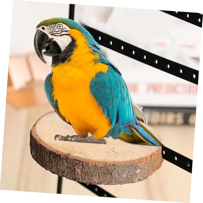 POPETPOP Natural Wood Bird Stand Bird Cages for Parrots Wooden Platform Stand Rack Parrot Branch Perches Small Animal Toy
