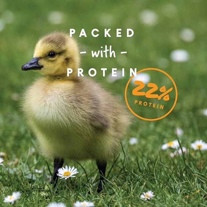 Manna Pro Duck Starter Grower Crumble – Non-Medicated Duckling Feed with Probiotics for Digestion, Ducks & Goose Starter Feed for Healthy Growth, Duck Grower Crumble Pellets, 8 lb