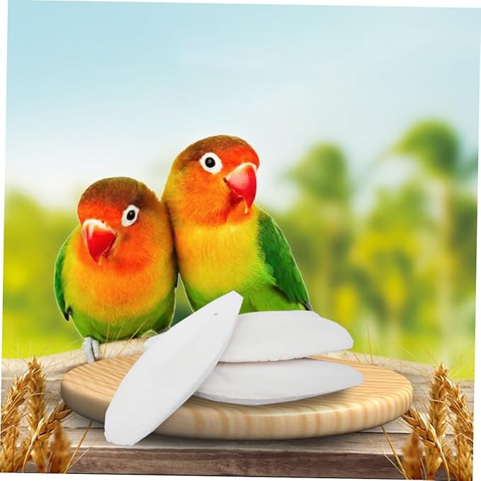Abaodam 12sets Hamster Toys Cuttlebone Chewing Bone Bite Toy Holder Bird Cage Accessories for Parrots Pet