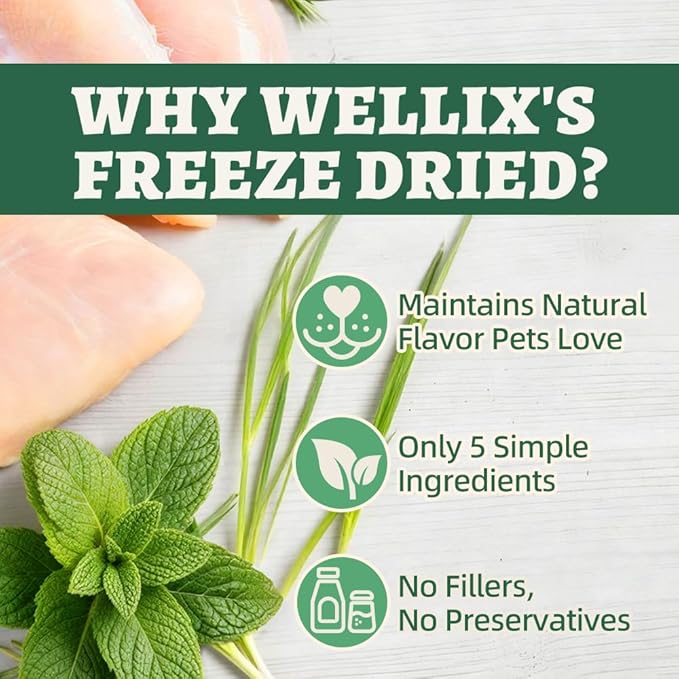 Wellix Catnip Treats Freeze-Dried Cat Treats, Grain-Free Snacks with Chicken, Cat Grass & Catnip for Cats Digestive Support Healthy Skin&Coat, Healthy Feline Training Treats for Indoor Cats, 3oz