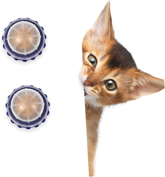 Garneck 4pcs Catnip Energy Ball Snacks Healthy Cat Licking Candy Treats Natural Flavor Nutritional Energy Balls for Cats and Kittens