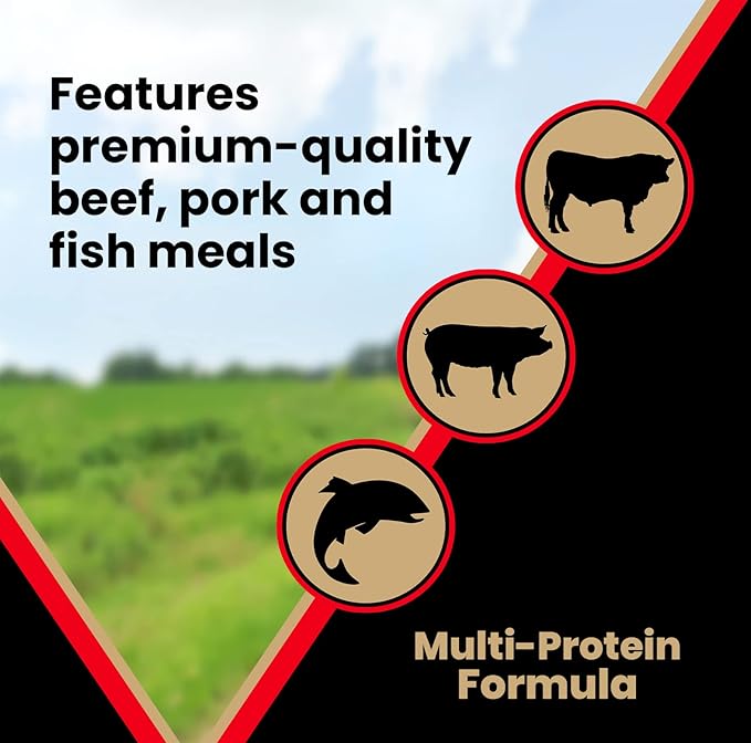 VICTOR Super Premium Dog Food – High Protein Grain Free Active Dog & Puppy Kibble – Dry Food with 33% Protein, Gluten-Free - Premium Beef, Pork, Fish Meals for High Energy Dogs, 5lbs