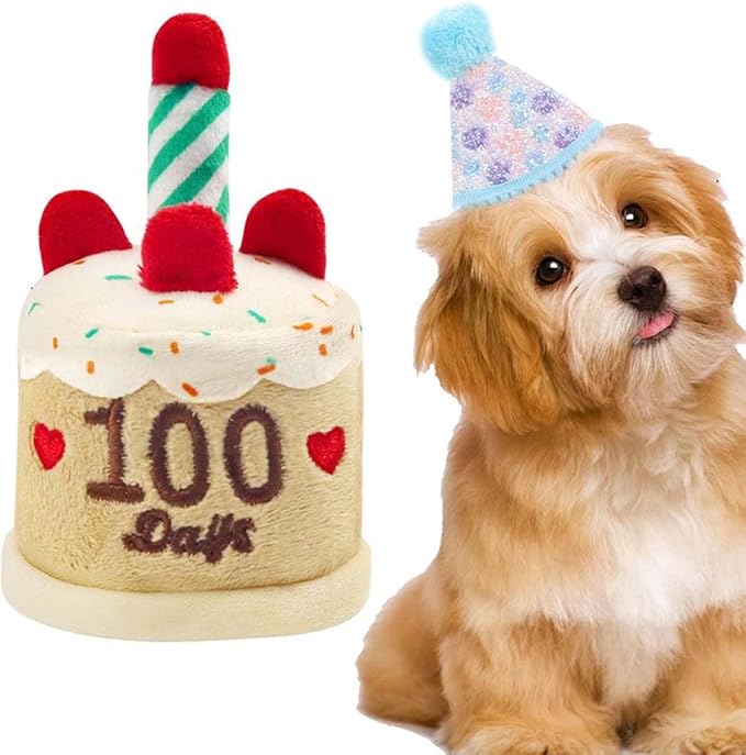 Cat Birthday Toy Kitten Cake with Birthday Hat Puppy Dog Plush Gift for Small Medium Pet (100 Day)
