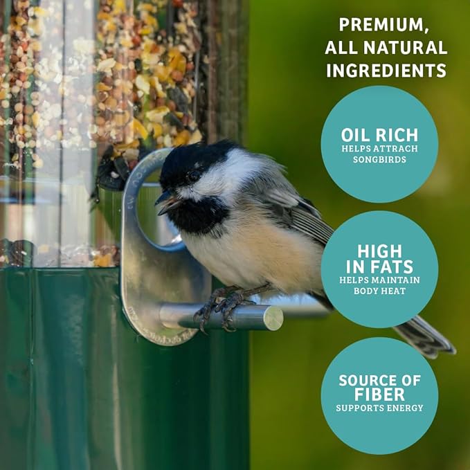 Birds Choice Finch Feast Wild Bird Food | Nutrient-Rich Bird Seed Blend | High-Energy with Nyjer Thistle, Sunflower Chips, Nyjer & Vegetable Oil | High Protein & Fat for Attracting Finches | 5 lbs