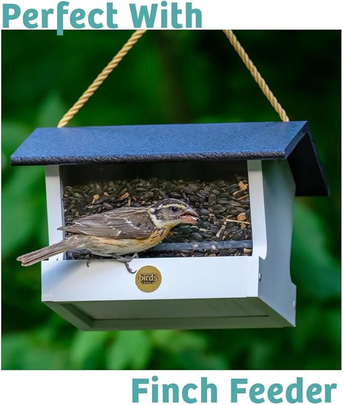 Birds Choice Finch Feast Wild Bird Food | Nutrient-Rich Bird Seed Blend | High-Energy with Nyjer Thistle, Sunflower Chips, Nyjer & Vegetable Oil | High Protein & Fat for Attracting Finches | 5 lbs
