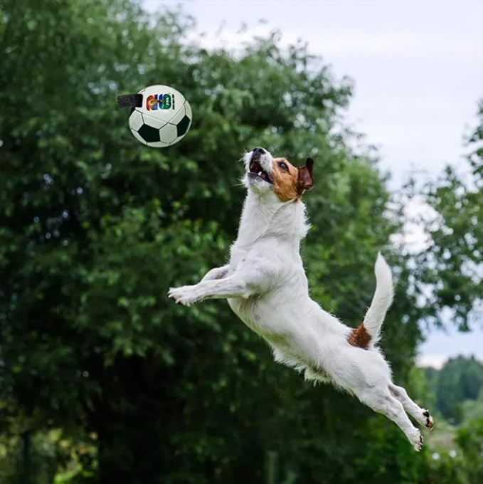 Littlearth Pet Soccer Ball Toy – Officially Licensed FIFA World Cup 2026