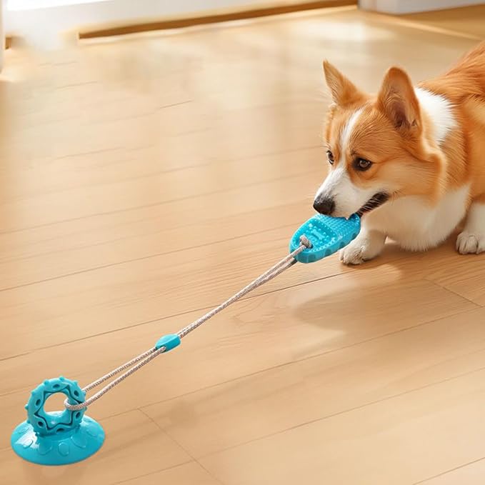 Interactive Dog Toy With Suction Cup Base Hollow Dog Ball That Holds Treats Inside Designed For Supervised Play For Cat Kitten Small Medium Large Breed Aggressive Chewers Indoor Outdoor Play Stimulati