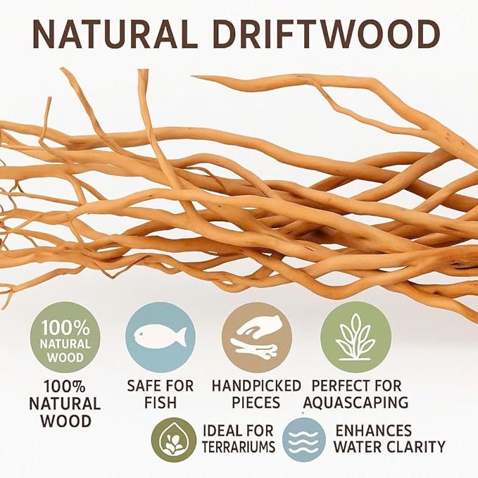 Azil Natural Aquarium Driftwood Root – Driftwood for Aquarium Decor, 170g~0.38lb (14″–16″), Fish Tanks, Terrariums, Aquascaping & Planted Tanks