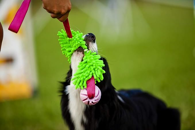 Dingo tug Toy for Dog, for Outdoor Indoor Play and tug of war, Bungee Handle, Soft Shaggy Nubby Like Plush Noodle and TPR Rubber Ball, Green 15589