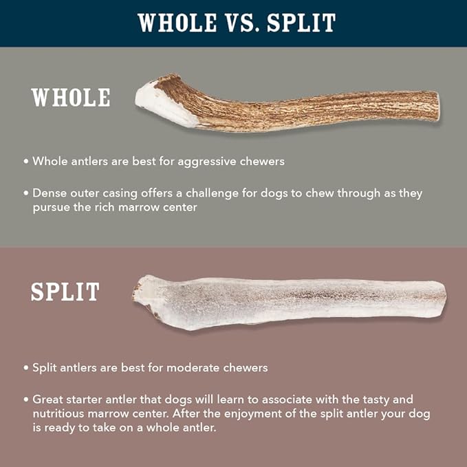 Amazon Brand - Wag Split Elk Antler, Naturally Shed, Long Lasting for Aggressive Chewers, X-Large (Best for Dogs over 45 lbs)