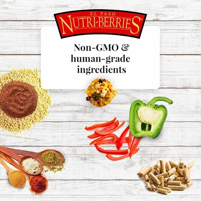 LAFEBER'S El Paso Nutri-Berries Pet Bird Food, Made with Non-GMO and Human-Grade Ingredients, for Parrots (10 oz Pack of 2)