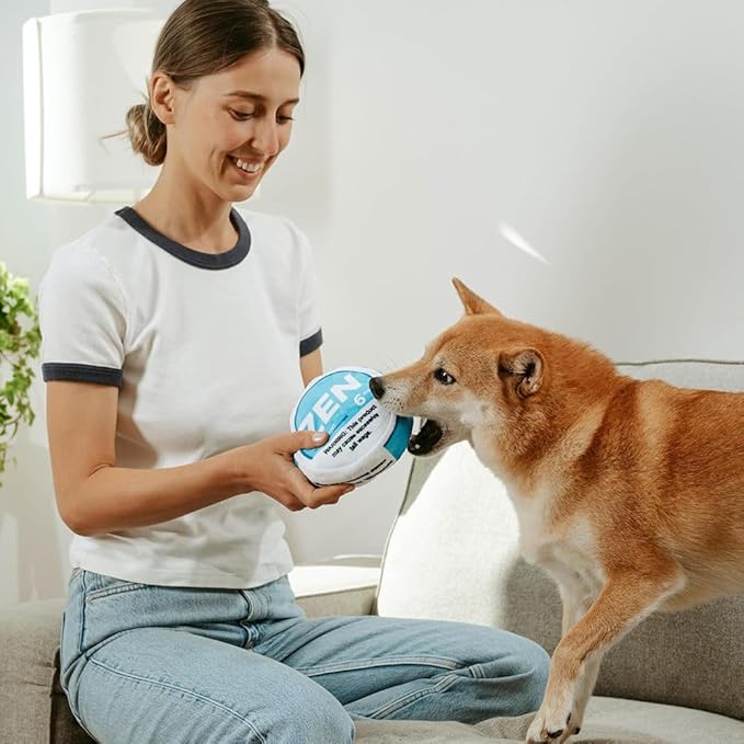 Field Day Zen Drool Mint Dog or Cat Toy, Plush Crinkle Squeaker Pet Toy, 5 Inch Round, Focus and Anxiety Toy