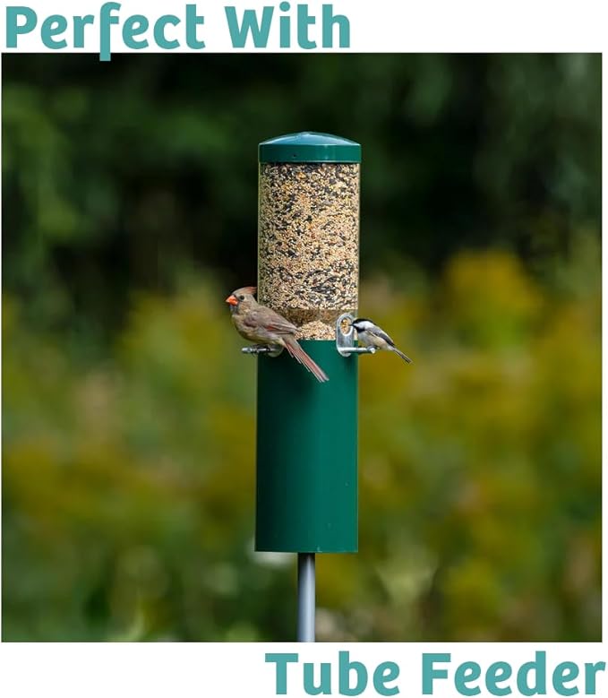 Birds Choice Finch Feast Wild Bird Food | Nutrient-Rich Bird Seed Blend | High-Energy with Nyjer Thistle, Sunflower Chips, Nyjer & Vegetable Oil | High Protein & Fat for Attracting Finches | 5 lbs