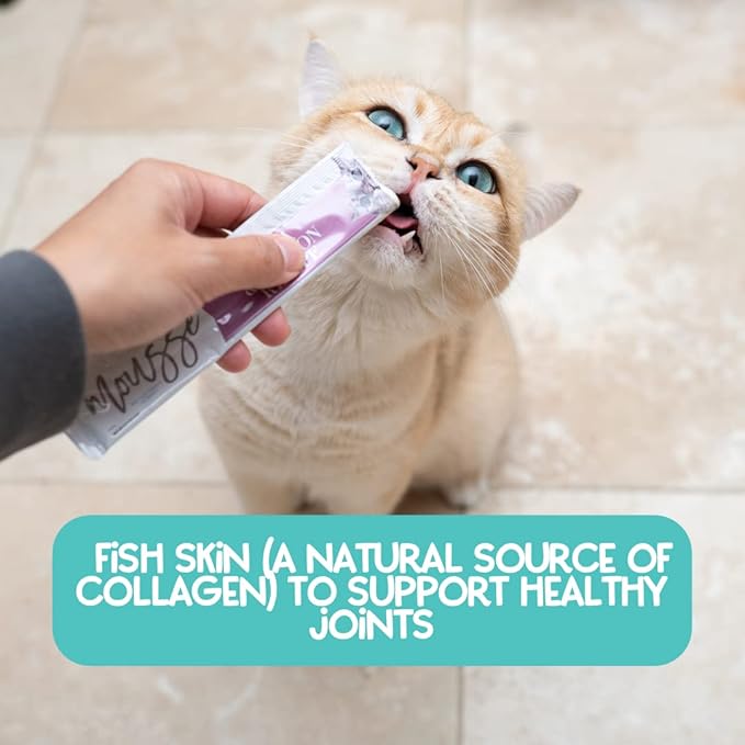 LOVE, NALA - Natural Lickable Cat Squeeze Up Treat,Topper - Variety Plus Pack Mousse - Wet Food Cat Puree - Grain Free, Non_GMO Minerals, Vitamins - 24 Pack