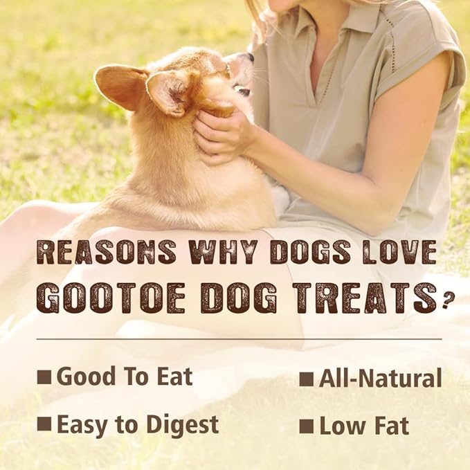 Gootoe Soft Turkey Tendon Strip with Pumpkin 1 lb, Natural Chewy Snack, USA-Sourced Turkey Tendon, Premium Training Chew, Ideal for Small & Senior Dogs, Jumbo Pack