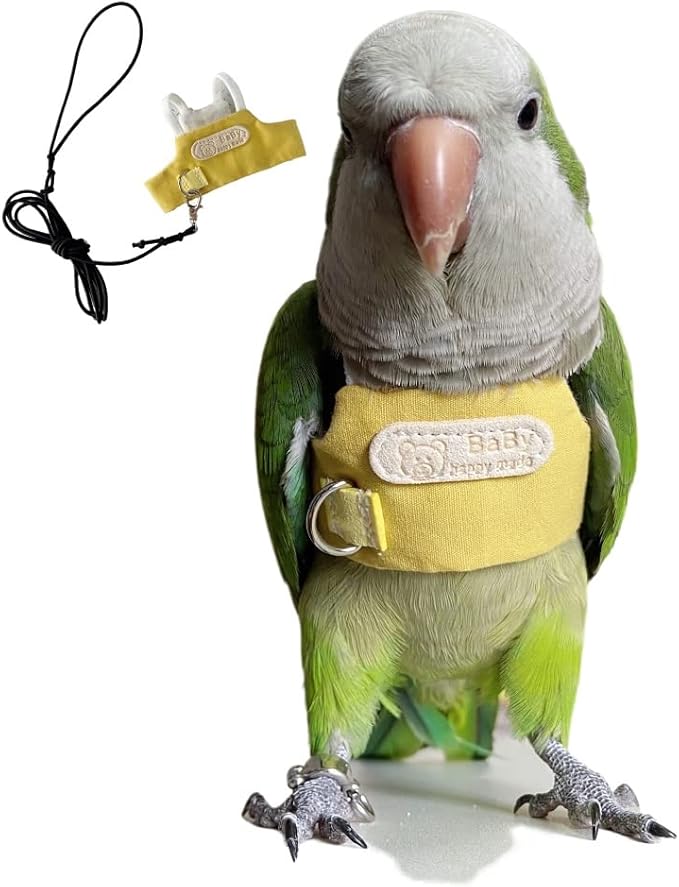 Bird Flight Harness Vest, Parrot Flight Suit with Leash, Bird Flying Clothes with Rope and Handle for Outdoor Activities (Without Leash,Cockatiel) (M, Without Rope)