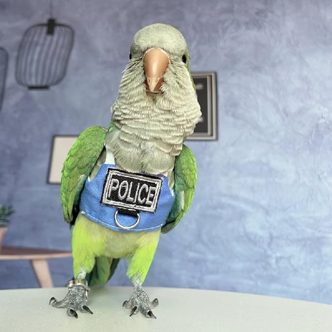 Bird Flight Harness Vest, Parrot Flight Suit with Leash, Bird Flying Clothes with Rope and Handle for Outdoor Activities (Without Leash,Cockatiel) (with Leash, S)