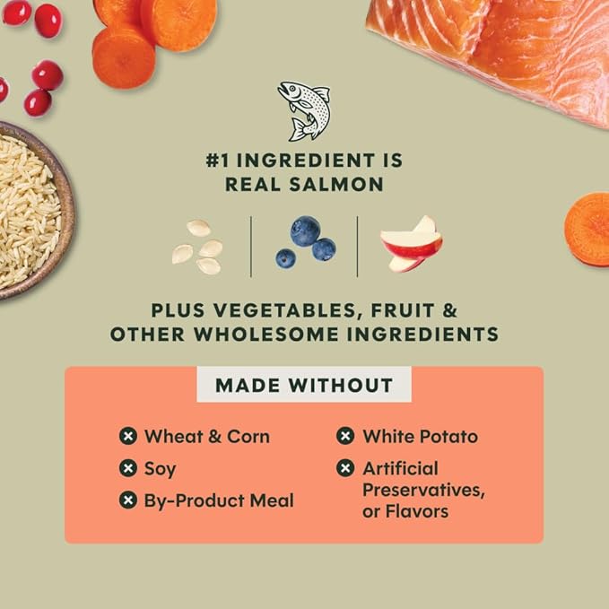 Instinct RawBoost, Natural Dry Dog Food with Freeze-Dried Pieces, Whole Grain Recipe - Real Salmon & Brown Rice, 3.5 lb. Bag