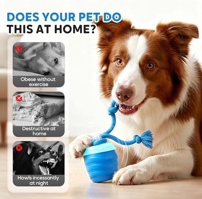 Interactive Dog Toys, New Motion Activated Cat Balls with 360° Smart Automatic Rolling Moving, Fun Boredom Relief for Cats and Dogs Indoor Play (red)