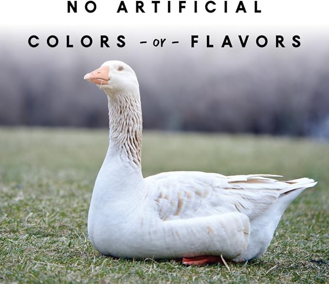 Manna Pro Duck & Goose Layer Pellets, High Protein for Increased Egg Production, Formulated with Probiotics to Supports Gut Health & Digestion, 8 lbs
