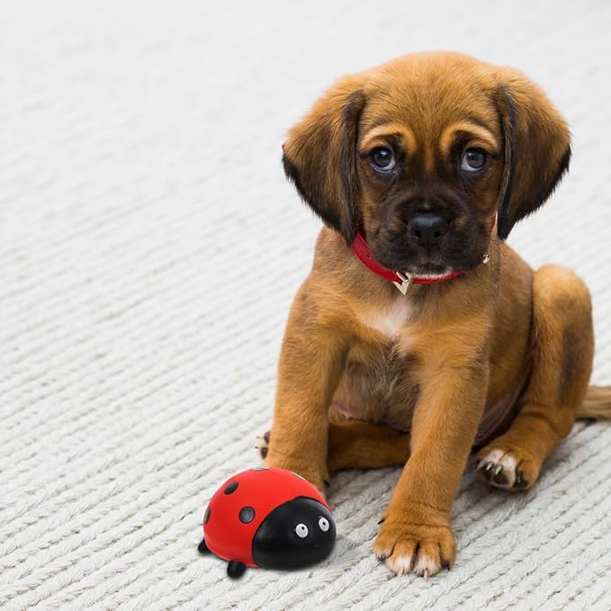 Squeaky Latex Pet Chew Toy Ladybug Spider Design for Puppy Teething Durable Interactive Dog and Cat Toy