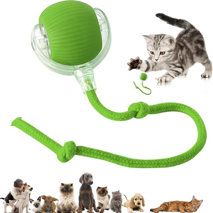 Interactive Electric Automatic Rolling Moving Rechargeable Self Play Stimulation Toy,Smart Pet Chase Ball with Speedy Tail Rope for Bored Indoor Cats enrichment,stimulating Dogs toy(Small Dogs)(Green)
