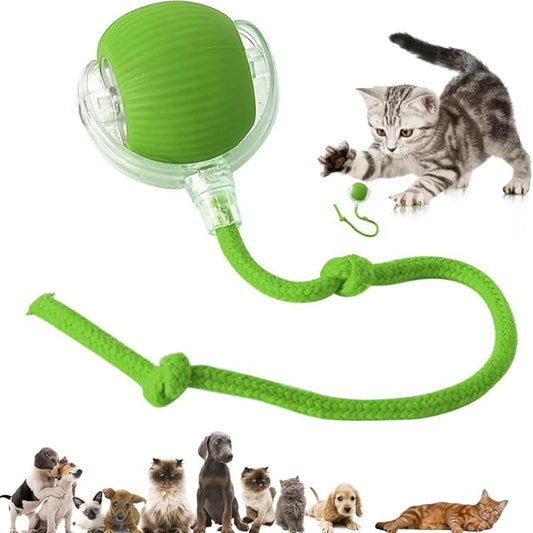 Interactive Electric Automatic Rolling Moving Rechargeable Self Play Stimulation Toy,Smart Pet Chase Ball with Speedy Tail Rope for Bored Indoor Cats enrichment,stimulating Dogs toy(Small Dogs)(Green)