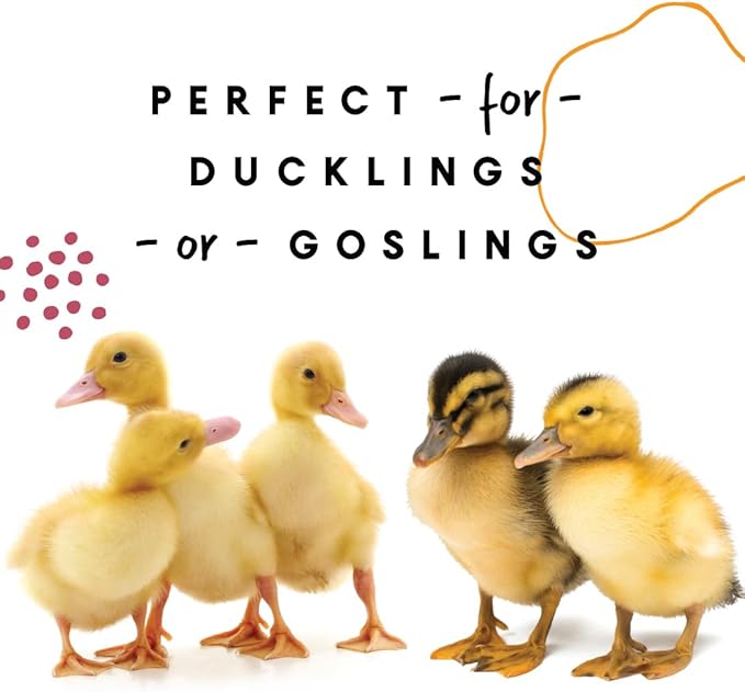 Manna Pro Duck Starter Grower Crumble – Non-Medicated Duckling Feed with Probiotics for Digestion, Ducks & Goose Starter Feed for Healthy Growth, Duck Grower Crumble Pellets, 8 lb