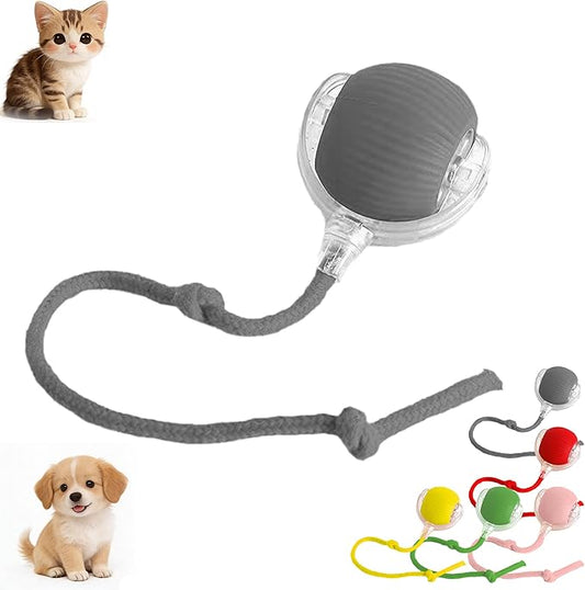 Tiny Fetch Dog Toy, Tiny Fetch Motion Dog Toy with Smart Motion Sensor, Smart Chase Pet Toy Ball for Dogs and Cats, Fun Gifts for People Who Love Cats (Gray)