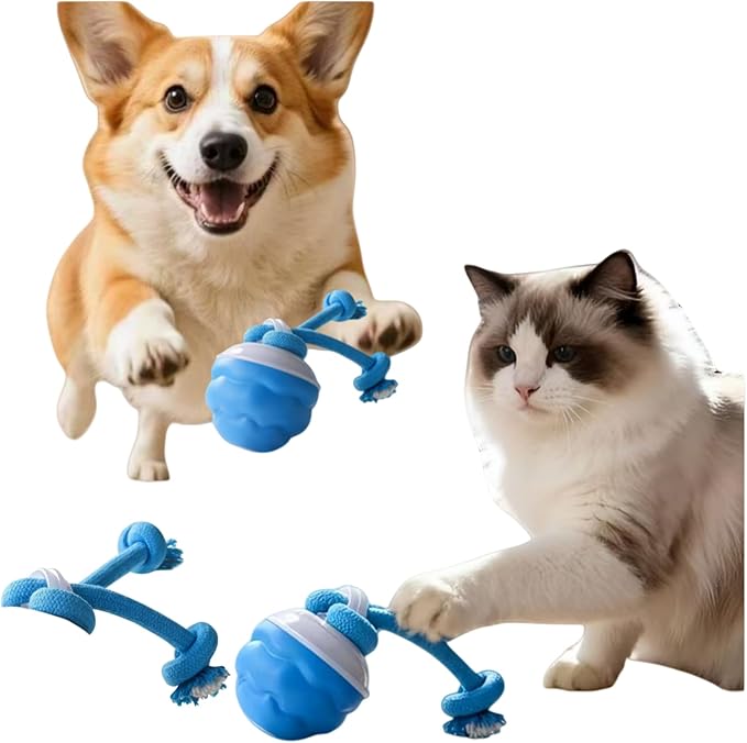 Interactive Dog Toy Ball with Smart Obstacle Avoidance, Irregular Movement, and Simulated Bird Calls, Suitable for Dogs and Cats. Type-C Charging (Blue, with 1 Free Knot).