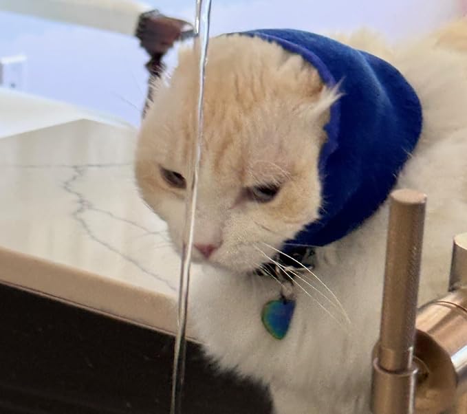 Pet Hoodz for Cats, Anxiety, Grooming, Ear Muffs, Cat Ear Protection, Calming, Ear Compression, Pet Hoodie, Cat Hoodie, Soft-Expandable Fabric for Cats, (Blue, MED)