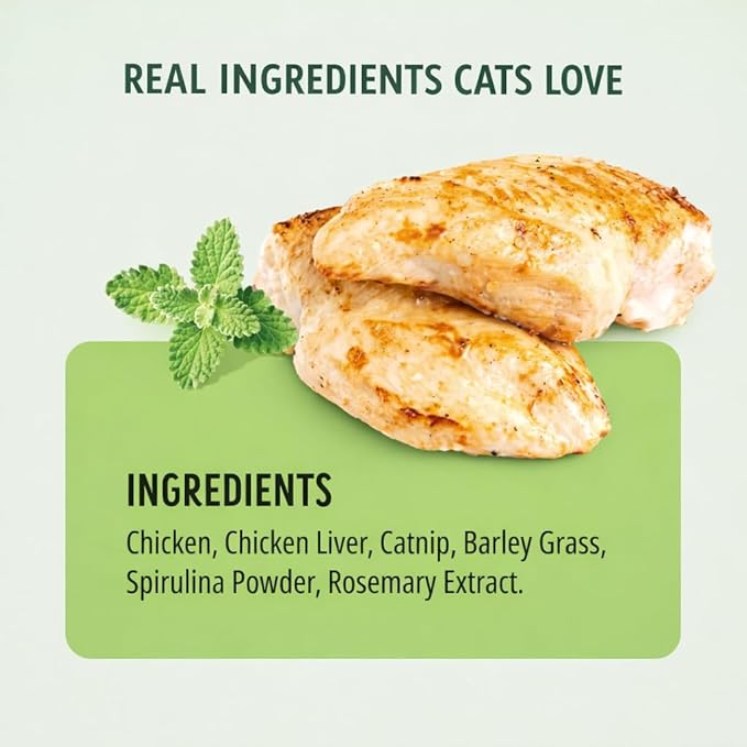 Freeze Dried Cat Treats Catnip Lollipops 12 Pops - High Protein Lickable Cat Nip Treats on Stick for Training Bonding - Cat Snacks No Artificial Flavors Preservatives for Kittens Cats All Ages