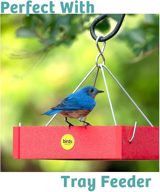 Birds Choice Finch Feast Wild Bird Food | Nutrient-Rich Bird Seed Blend | High-Energy with Nyjer Thistle, Sunflower Chips, Nyjer & Vegetable Oil | High Protein & Fat for Attracting Finches | 5 lbs