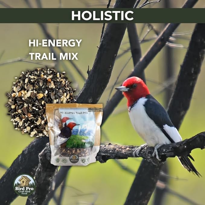 Bird Pro Holistic Bird Seed - Premium Seed for Backyard Feeding (36 Pounds, Hi-Energy Trail Mix)
