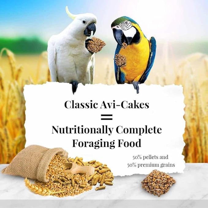 LAFEBER'S Classic Avi-Cakes Pet Bird Food, Made with Non-GMO and Human-Grade Ingredients, for Macaws & Cockatoos (1 Ib Pack of 2)