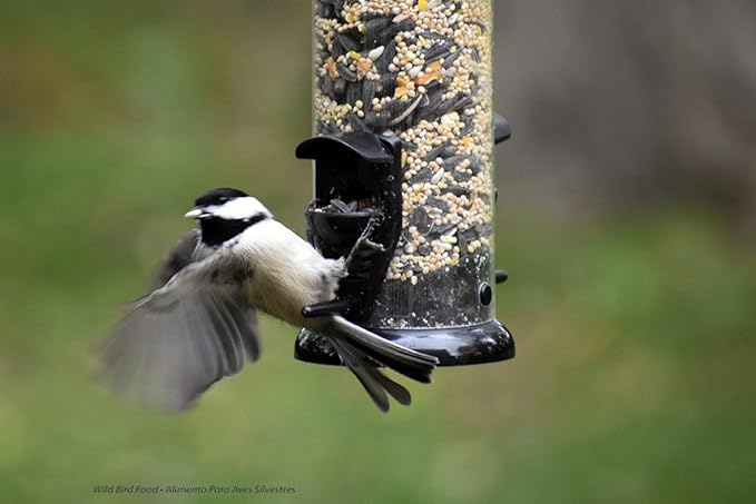 Premium Blend Bird Seed, 8 lbs