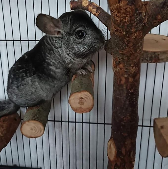 QBLEEV 3 PCS Hamster Chew Toys for Teeth, Chinchilla Cage Accessories Supplies, Guinea Pigs Natural Wood Chews Sticks for Rat Squirrels, Rabbits Perch Toys Birds Standing Platform for Parrot Bunny