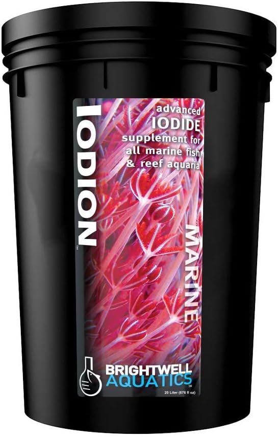 Brightwell Aquatics Iodion Iodide Supplement for Corals Clams Fish Macroalgae Enhances Polyp Extension Lighting Tolerance in Reef Marine Aquariums, 20L