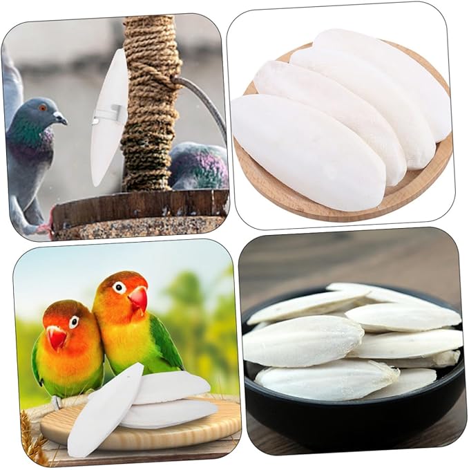 Abaodam 12sets Hamster Toys Cuttlebone Chewing Bone Bite Toy Holder Bird Cage Accessories for Parrots Pet