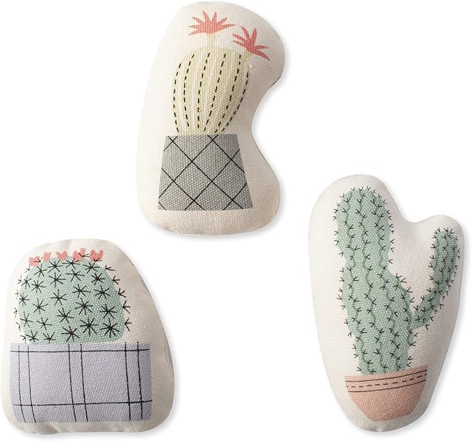 Fringe Studio "Potted Cactus Durable Cotton Canvas Small Plush Dog Toy 3PCS Set, PetShop Collection (521014)