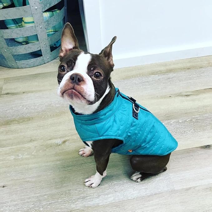 Gooby Puffer Vest - Turquoise, X-Large - Ultra Thin Zip Up Wind Breaker with Dual D Ring Leash - Water Resistant Small Dog Sweater Coat - Dog Clothes for Small Dogs Boy or Medium Dogs