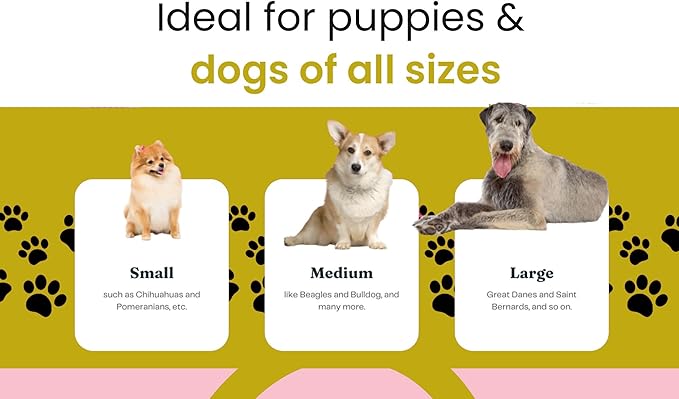 Dog Training Starter Kit for Puppies – Magnetic Treat Pouch & Potty Training Bell