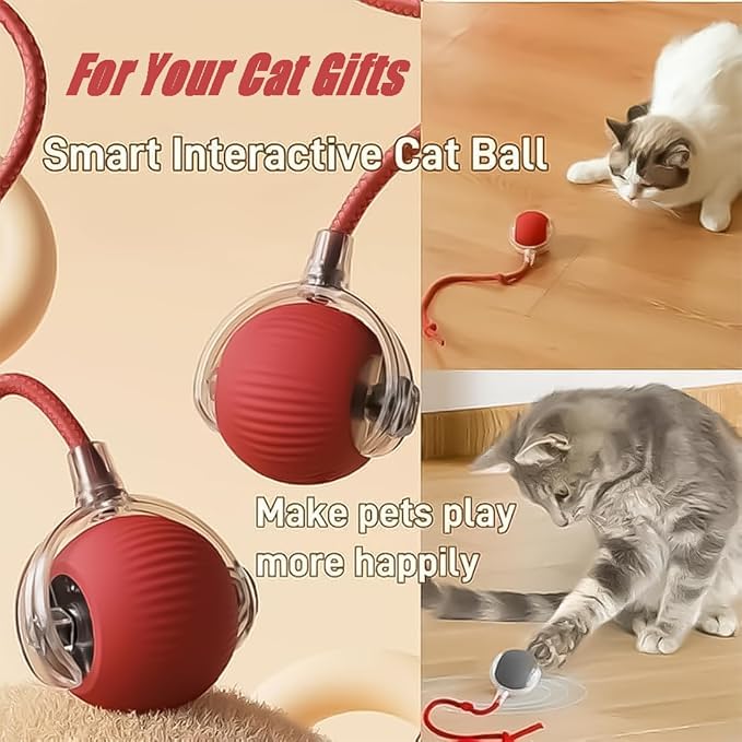 2026 New Generation Interactive Cat Toys Indoor, 360° Smart Automatic Cat Ball Three Modes with Long-Lasting Durability, for All Cats & Dogs (Gray, Wake BirdsongC)