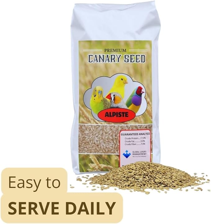 Alpiste Canary Seed 1Lb Bag – Natural Bird Food for Canaries and Small Birds, Finch Food Supports Breeding Growth Digestion Healthy Plumage Bone Strength & Eggshell Formation