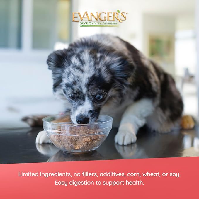 Evanger's Heritage Classic Lamb & Rice Dinner – 12 Count, 20.2 oz Each – Wet Dog Food with Lamb and Rice – Gluten-Free Loaf Style Meal – Complete and Balanced for All Life Stages