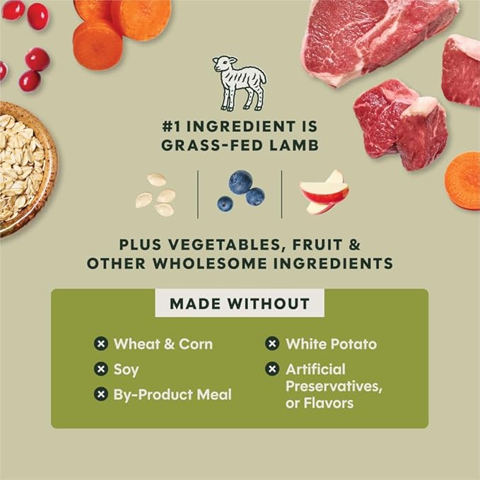 Instinct RawBoost, Natural Dry Dog Food with Freeze-Dried Pieces, Whole Grain Recipe - Real Lamb & Oatmeal, 3.5 lb. Bag