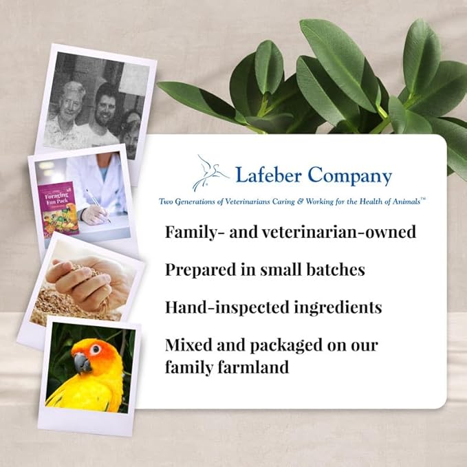 LAFEBER'S Foraging Fun Pack Pet Bird Food, Made with Non-GMO and Human-Grade Ingredients 5 oz (Conure)