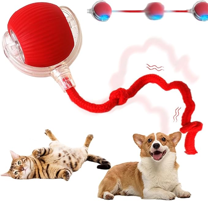 ROWPOZ Interactive Rolling Cat Dog Ball, 2025 Upgraded Automatic Dog Toy Interactive Cat Toys 360° Smart Rolling Ball Toy Electric Balls for Dog/Cat (Red)